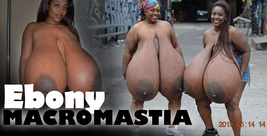 Ebony Macromastia